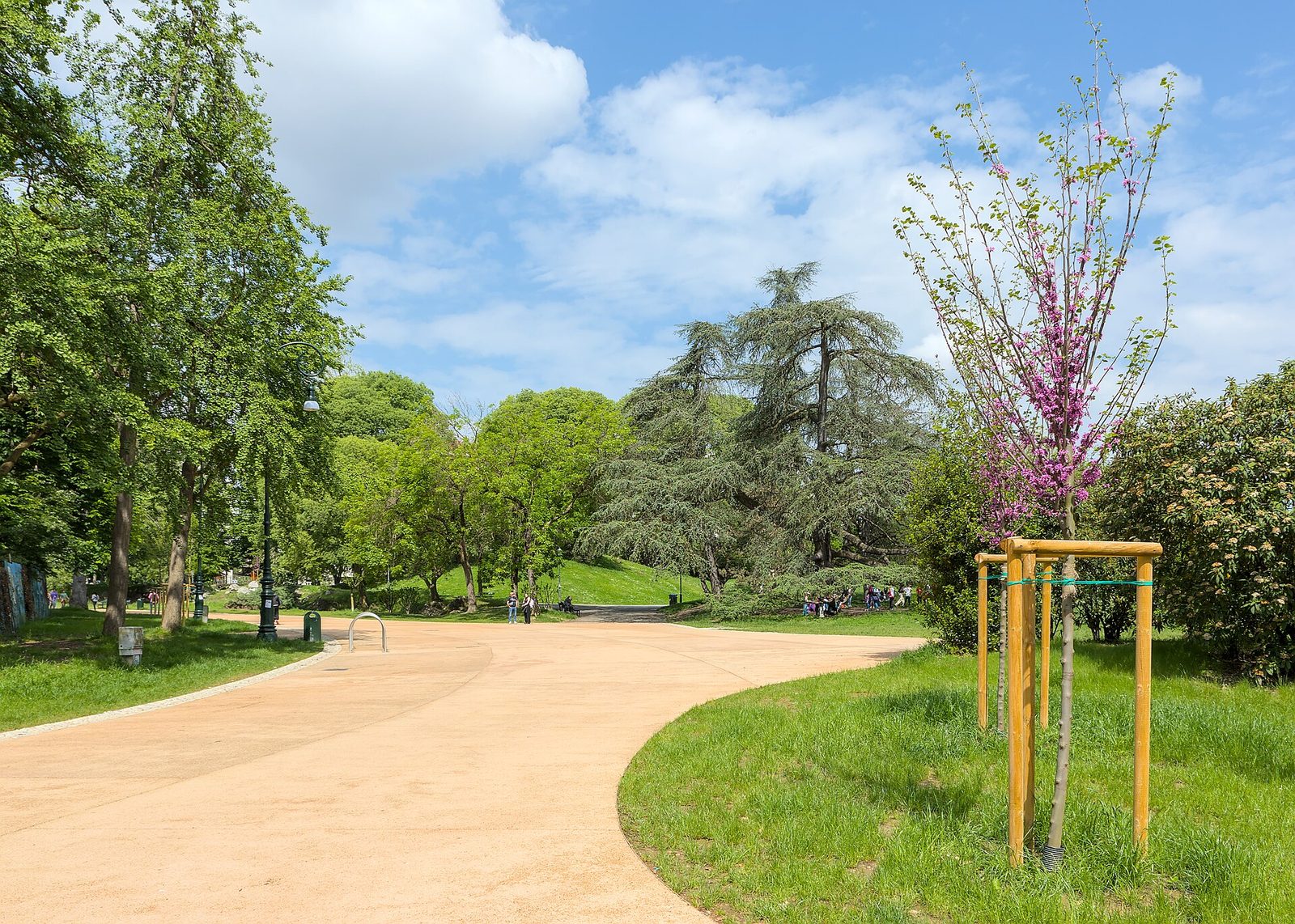 Parco del Valentino a Torino: viale alberato in fiore in una giornata di sole